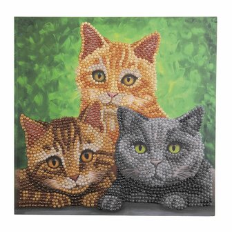 Crystal Card Kit &reg; Cat Portrait (18x18 cm)