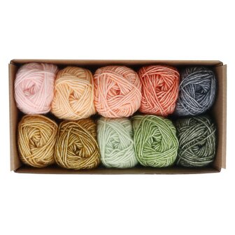 Scheepjes Stone Washed colour pack 10x25g - Intentions