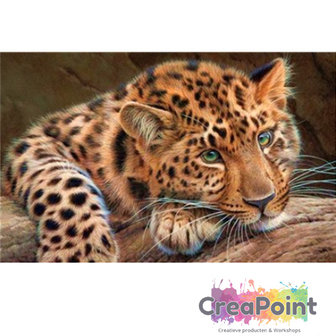 Full 5D Diamond Painting Luipaard 50 x 30 cm