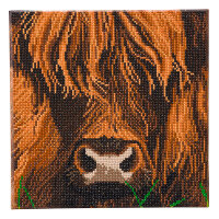 Crystal Art kit Highland Cow (full) 30 x 30 cm