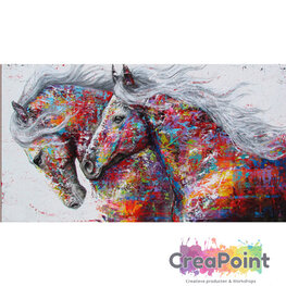 Full 5D Diamond Painting Paarden in kleuren kunstwerk 60 x 30 cm