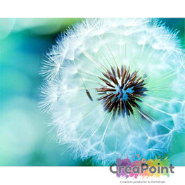 Full 5D Diamond Painting Dandelion 50 x 40 cm