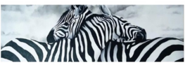 Full 5D Diamond Painting 2 Zebra's 120 x 35 cm