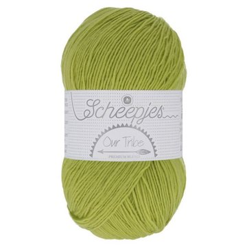 SCHEEPJES OUR TRIBE - 878 PISTACHIO BRANCH 100 gram